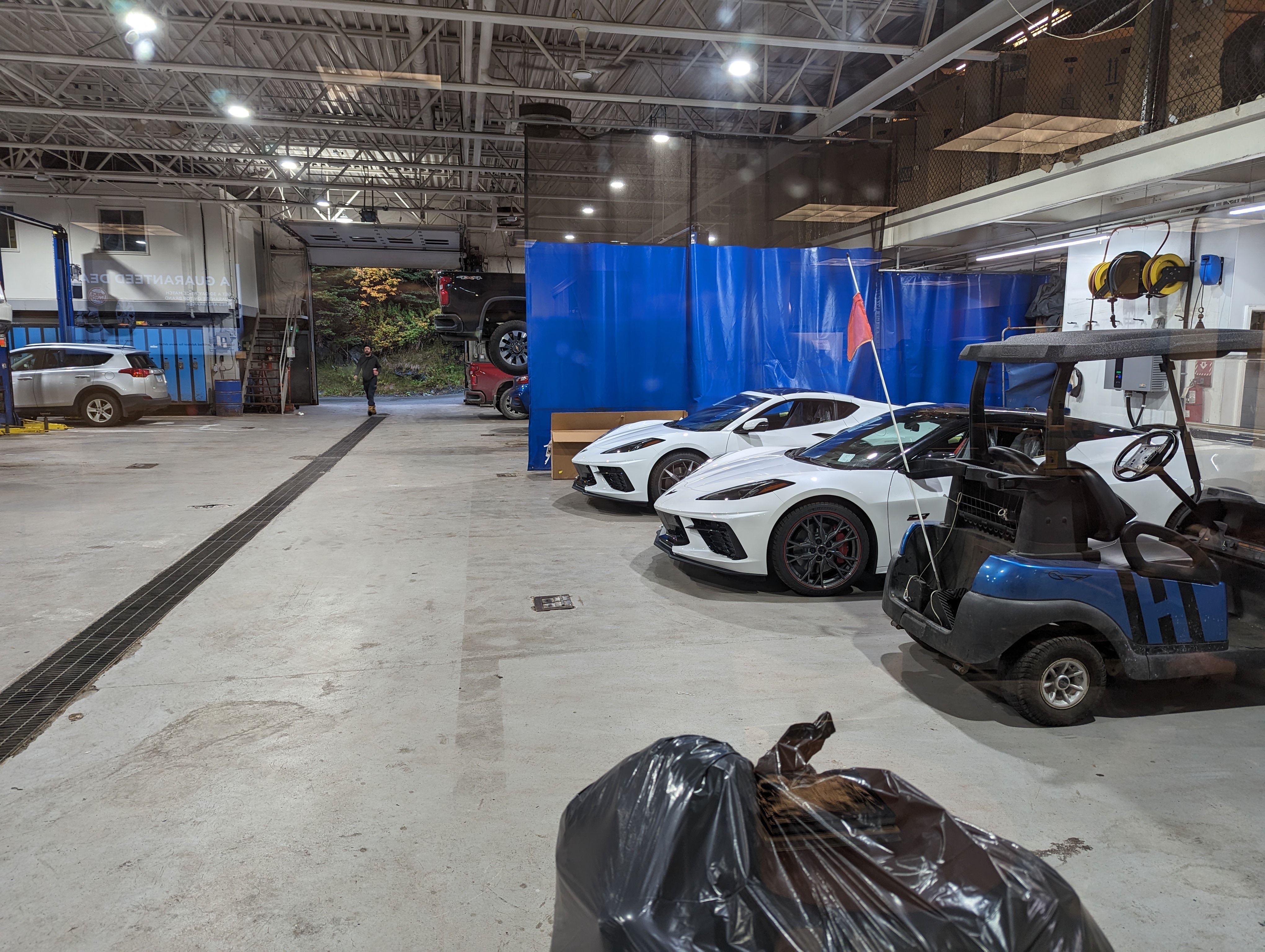 2023-10-13 Hickmans C8s 1.jpg