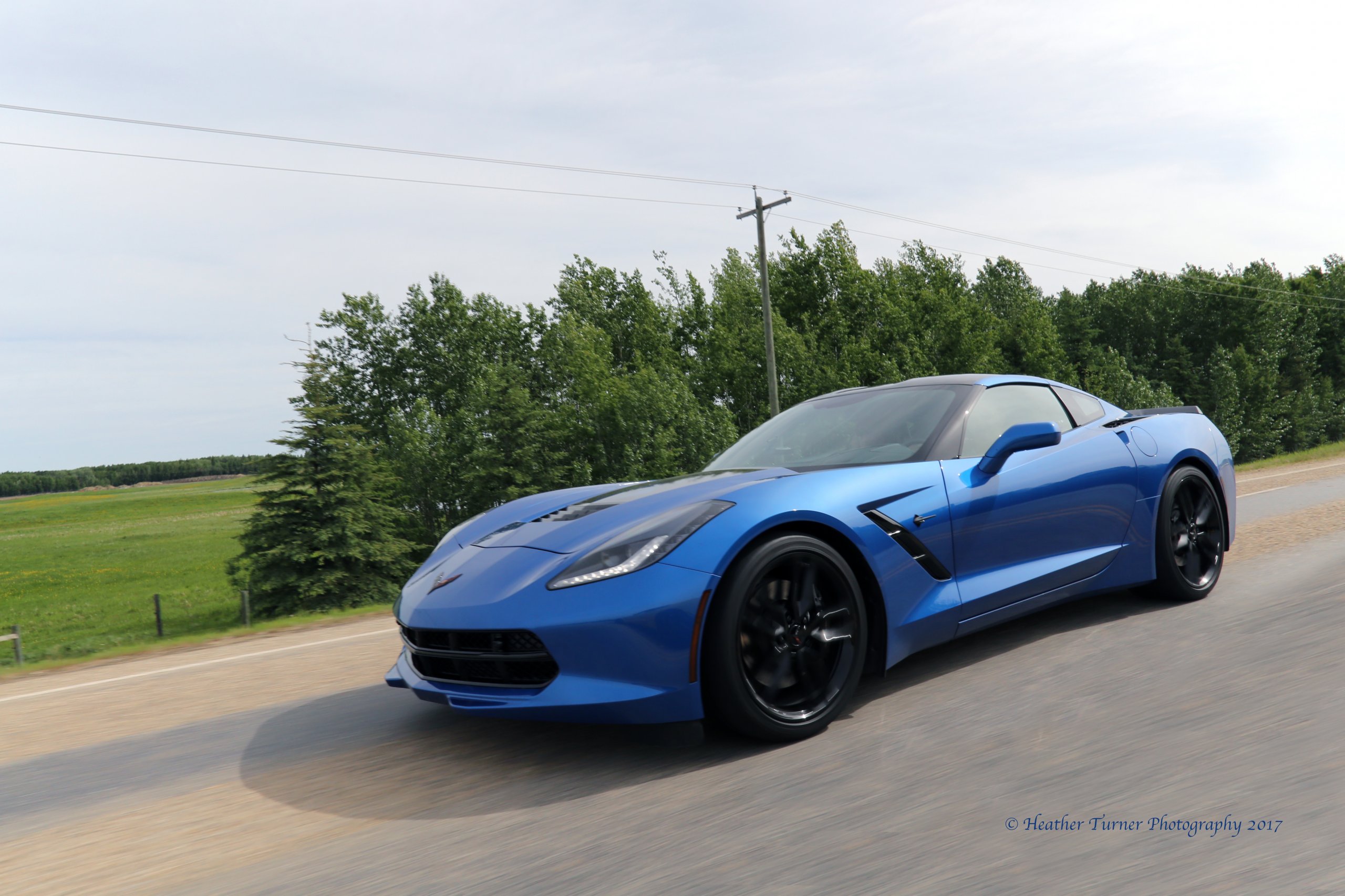 3 © Randy P June 3, 2017.jpg