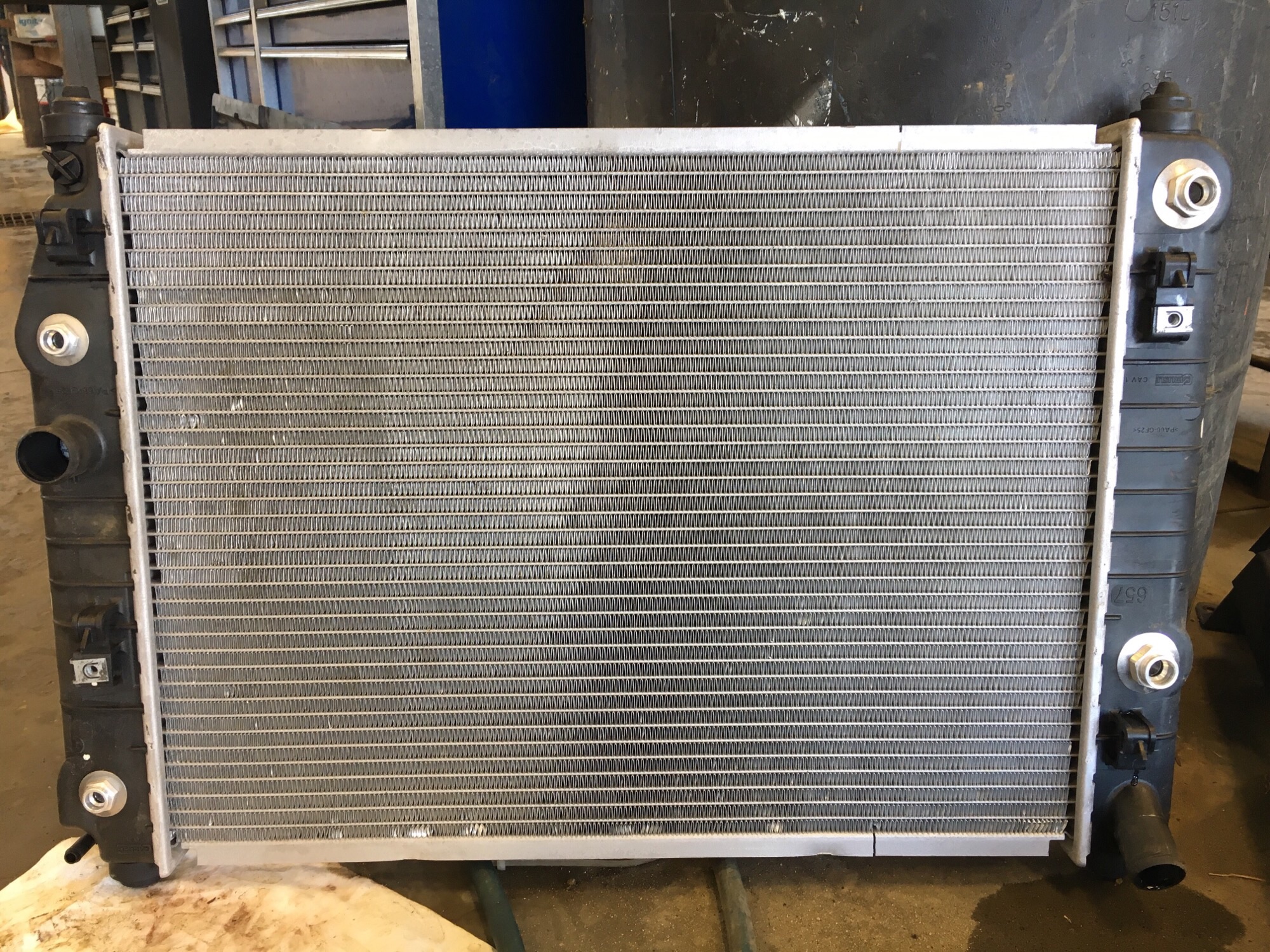 3 - rad cleaned.jpeg