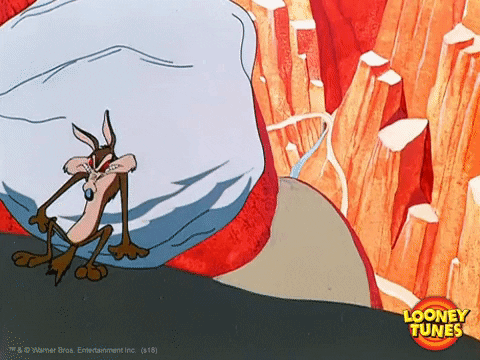 33D74894-EB43-4C3D-8102-F7315758DA77.gif