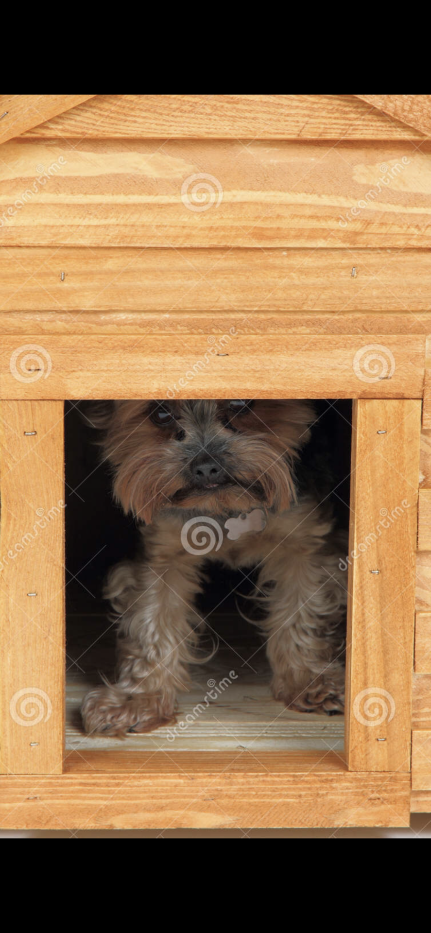 3DAC10A2-6DD4-4BE0-9871-CD67E765D046.png