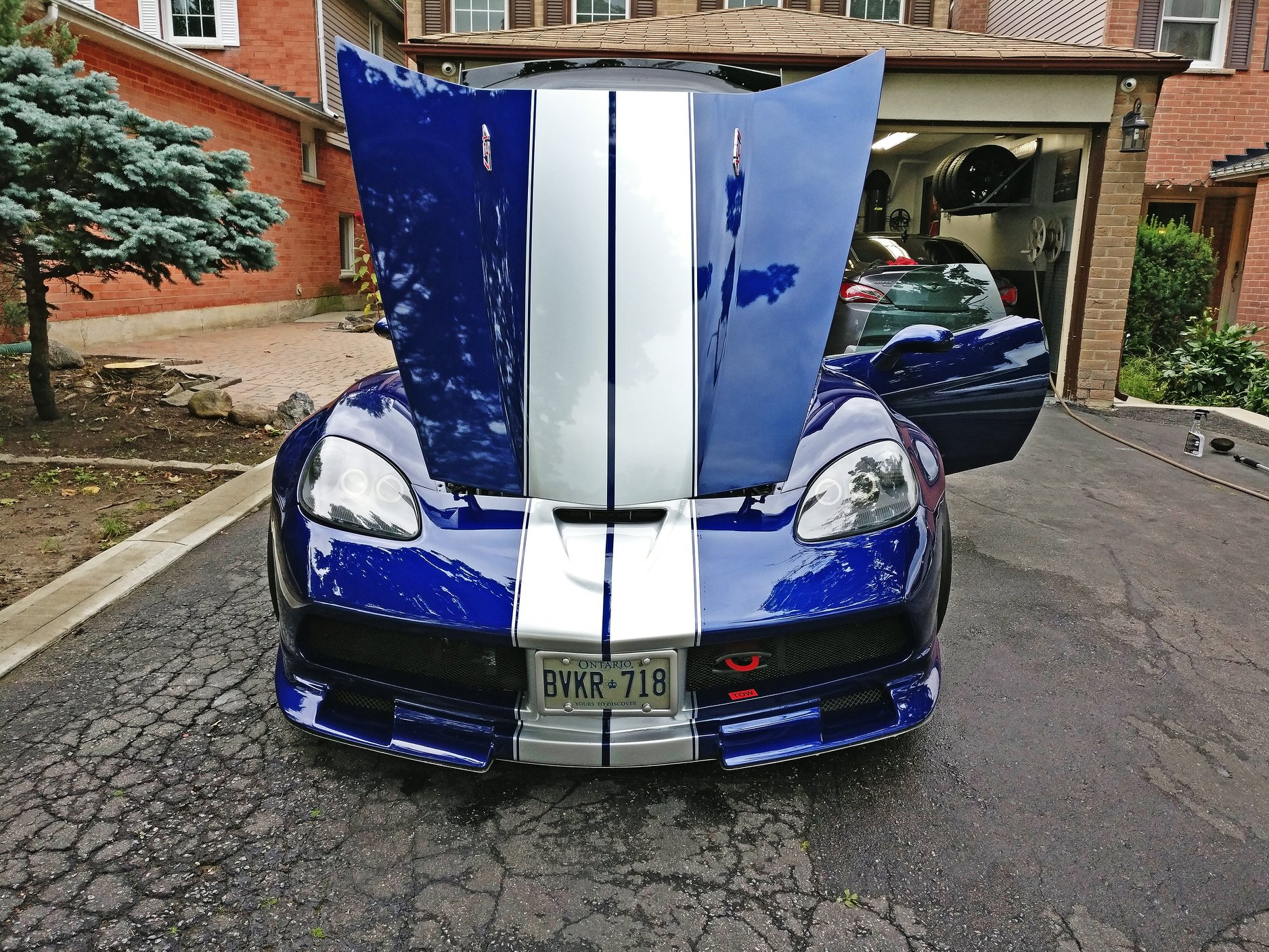 40414503_10155896951738099_1571775378261803008_o (1).jpg