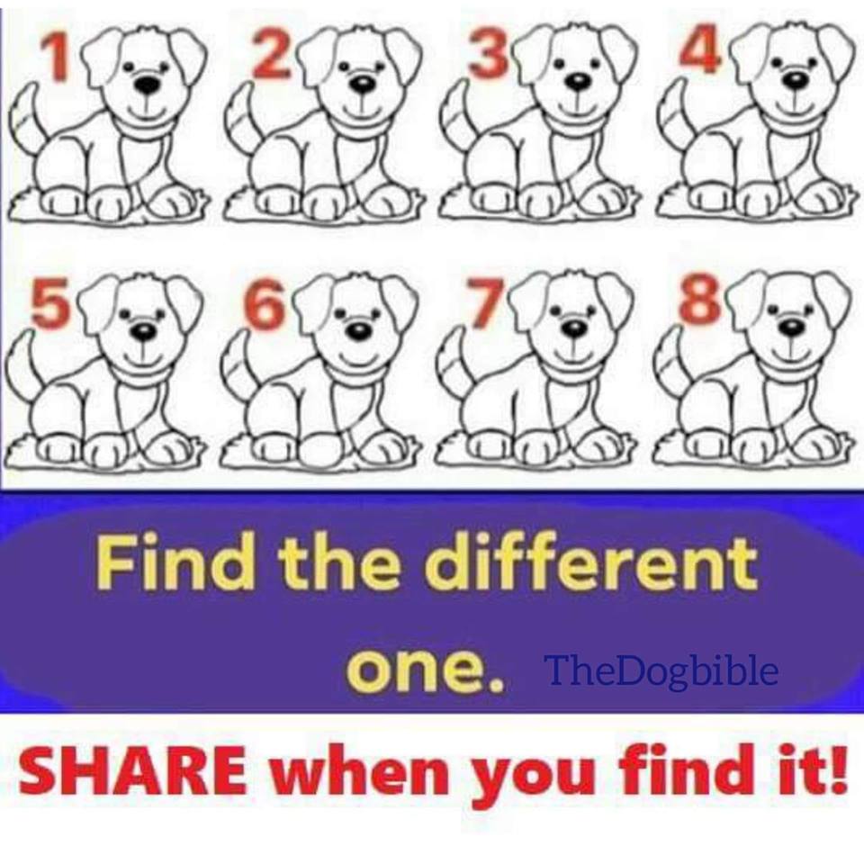 44102964_1978581319101722_5600083629620330496_n.jpg