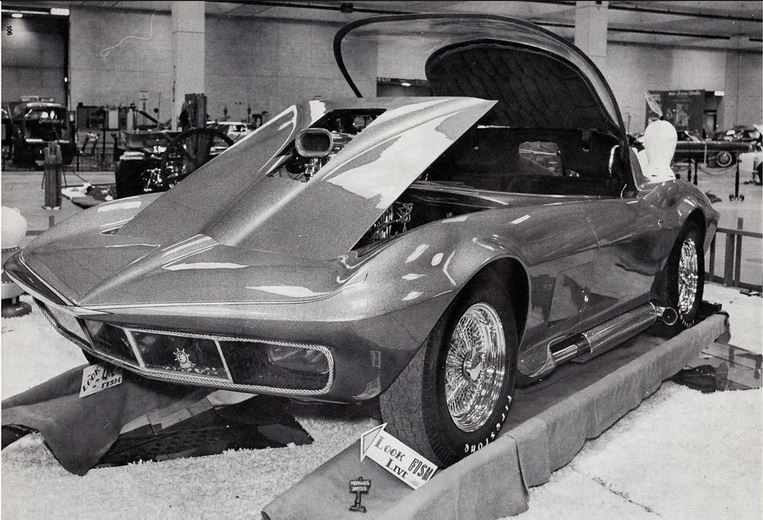 49 vette.JPG