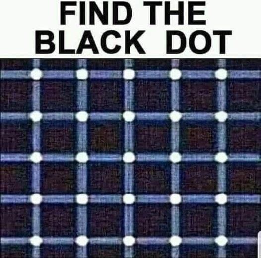 6C24AD76-1695-4692-AE0B-7EFBC0CBA549.jpeg