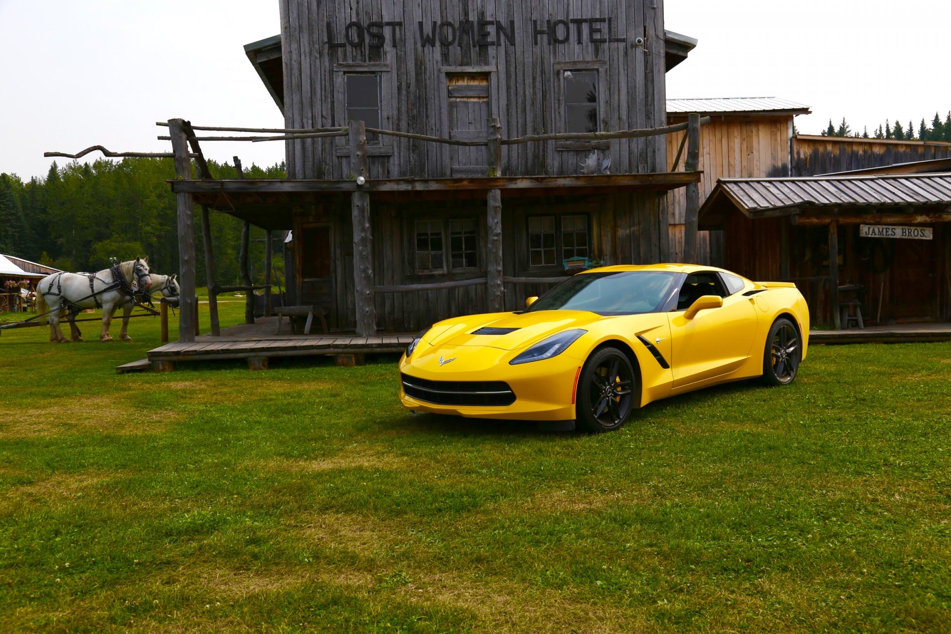 7531C9F1-B8DB-497B-85ED-A272C50E4957