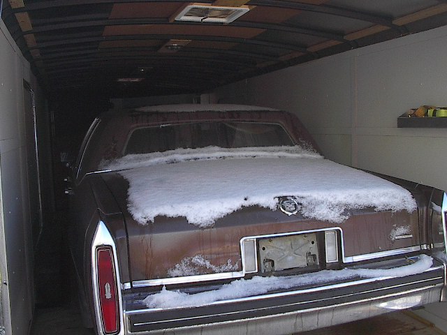 81 cad Dzel nov 20 2016.JPG