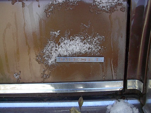 81 Cadillac nov 20 2016.JPG