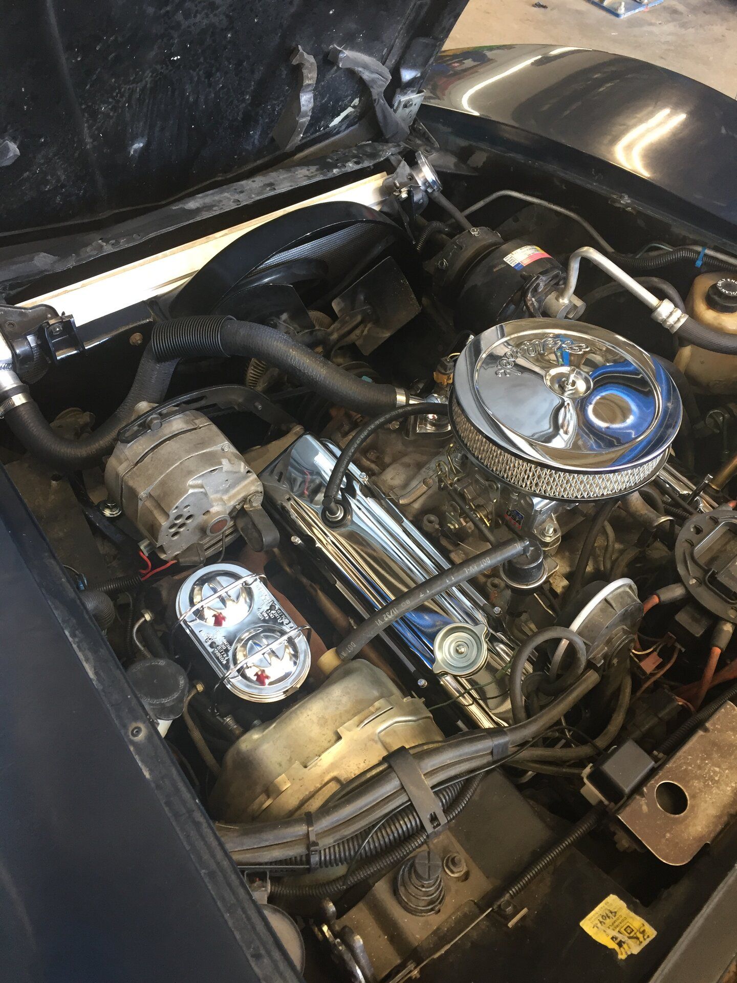 81 Engine Bay.JPG