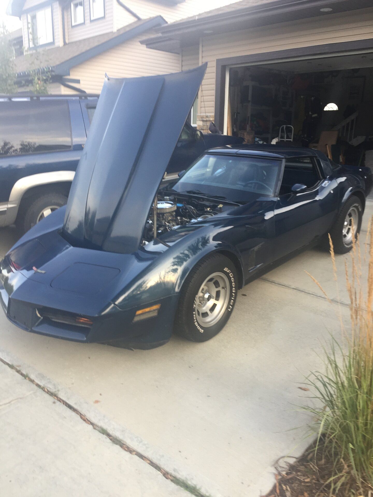 81 Hood up.JPG