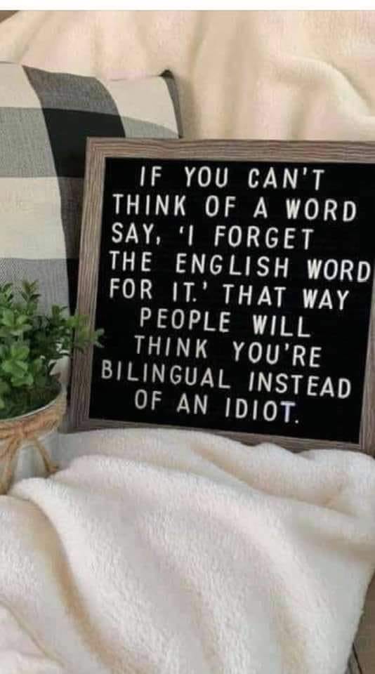 81811318_1468262289964362_5879130425095356416_n.jpg