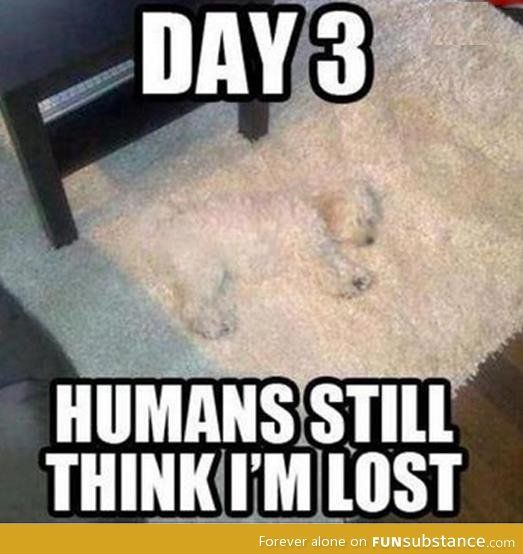 9286160D-51A5-4B50-8CB5-71B762B20700.jpeg