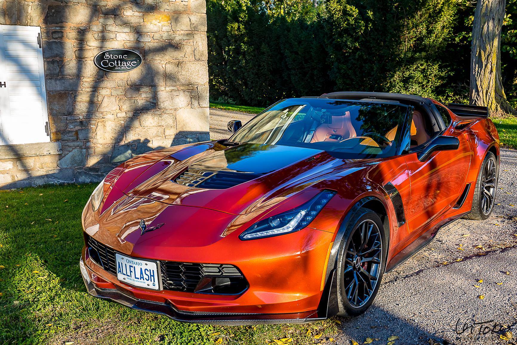 Afternoon Car Pics (2).jpg