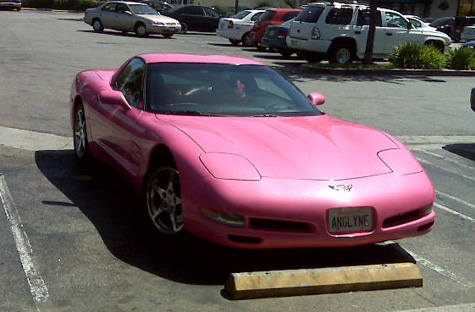 Angelyne-2004-Pink-Vette-Before-92.jpg