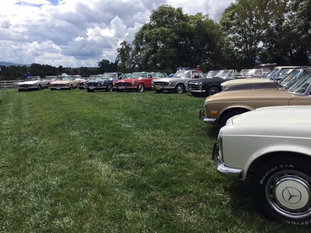 Another shot of the cars