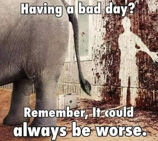 bad day.webp