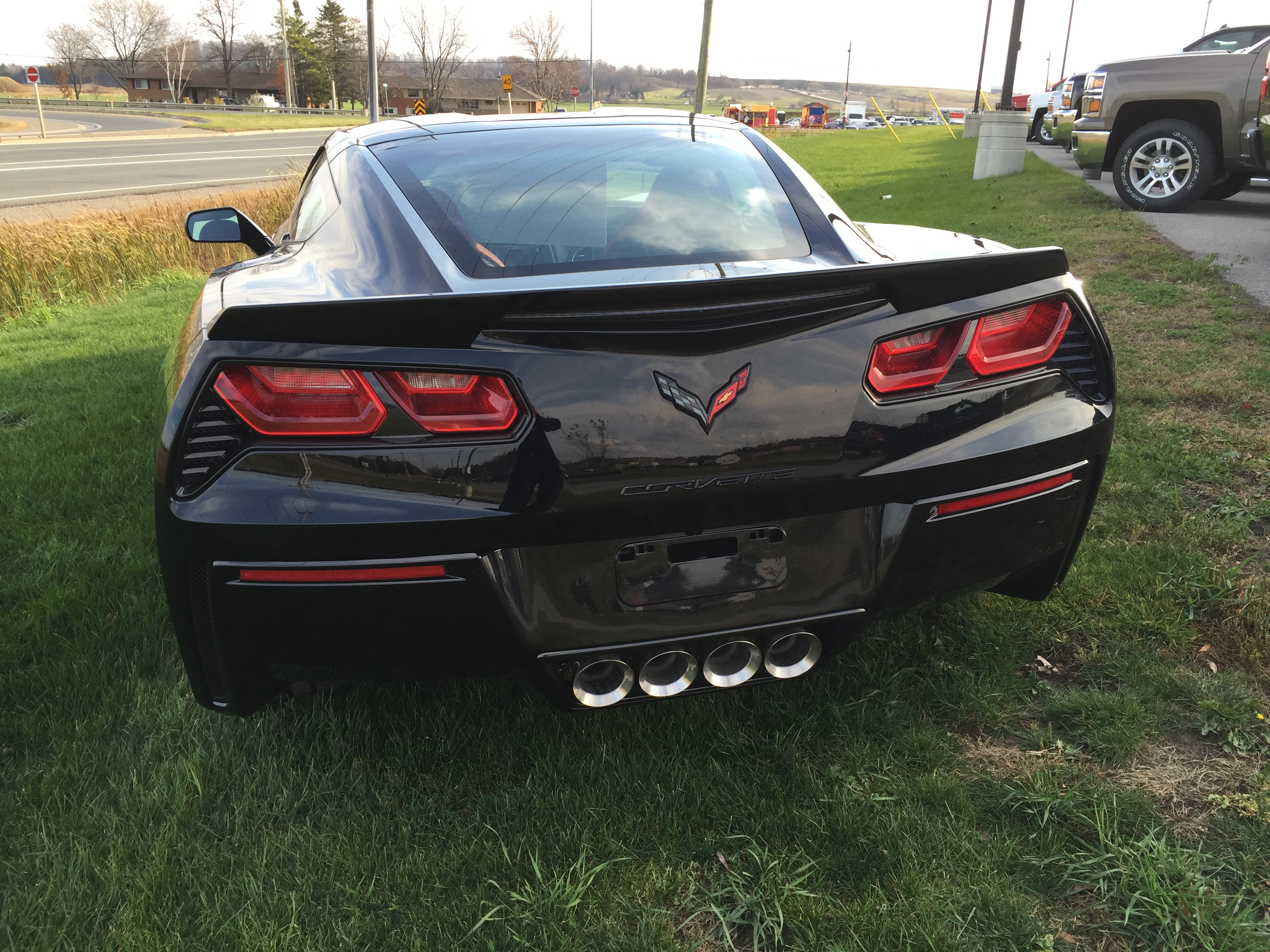 Black Beauty New Delivery