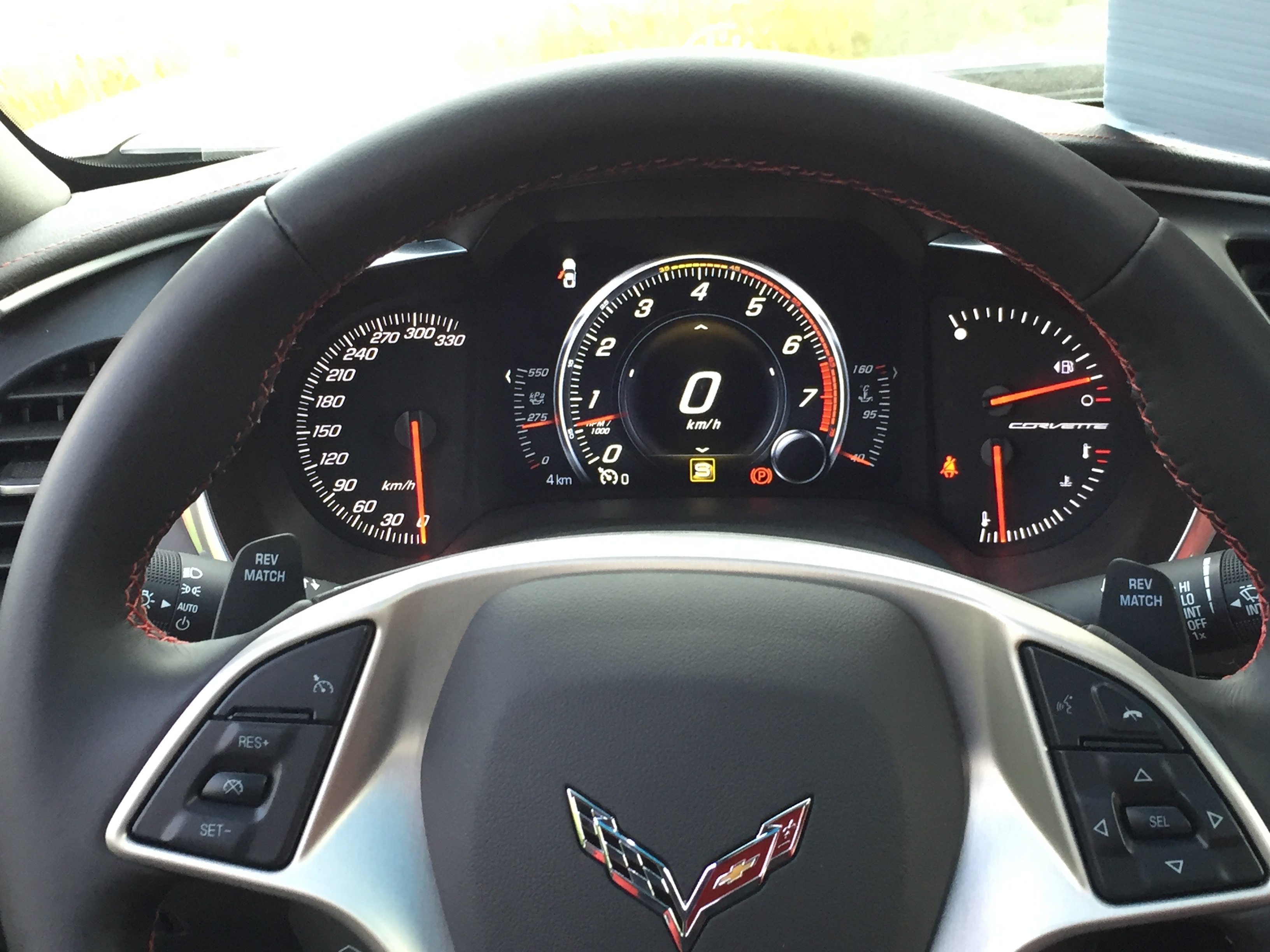 Black Beauty New Delivery