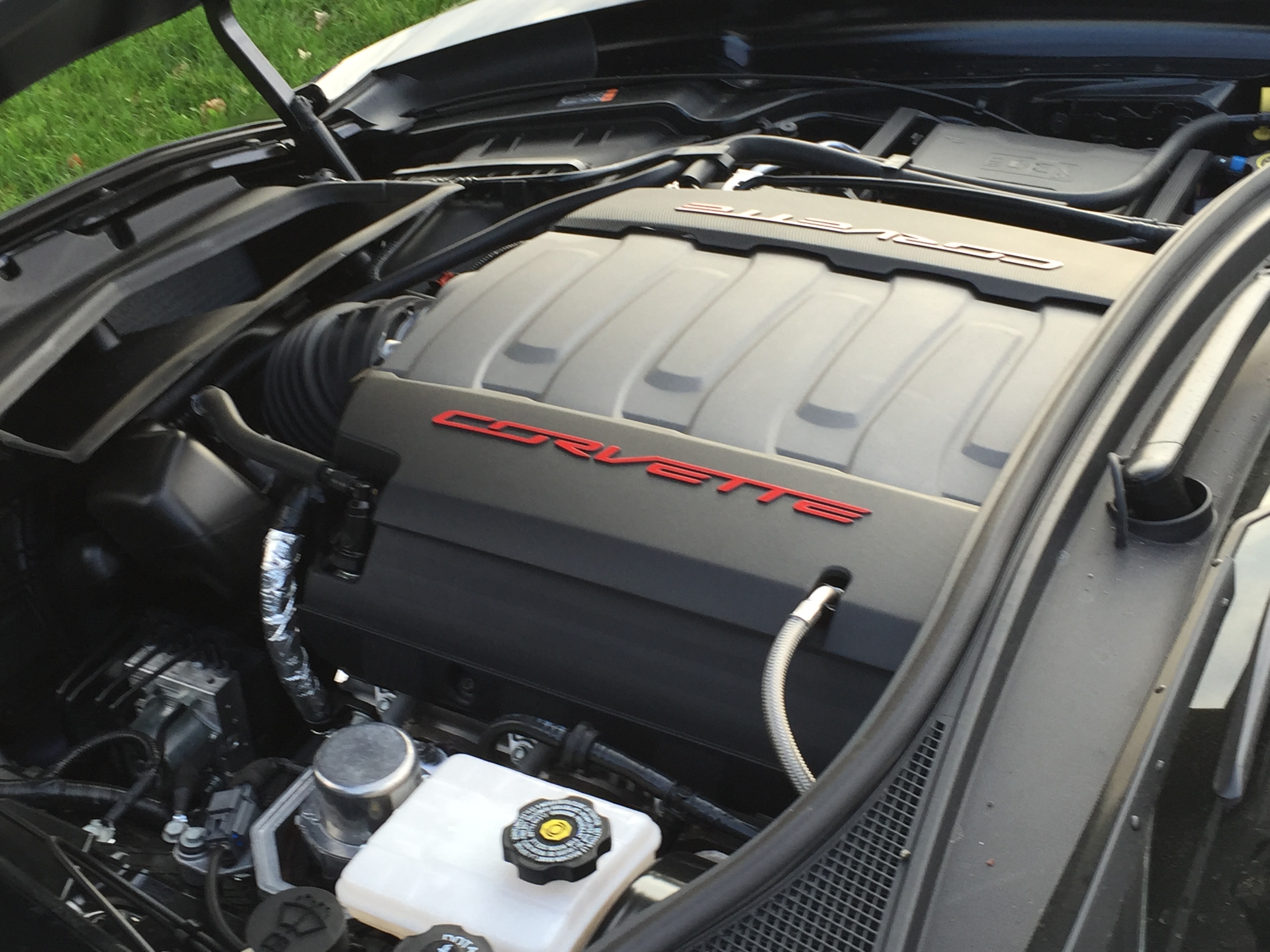 Black Beauty New Delivery