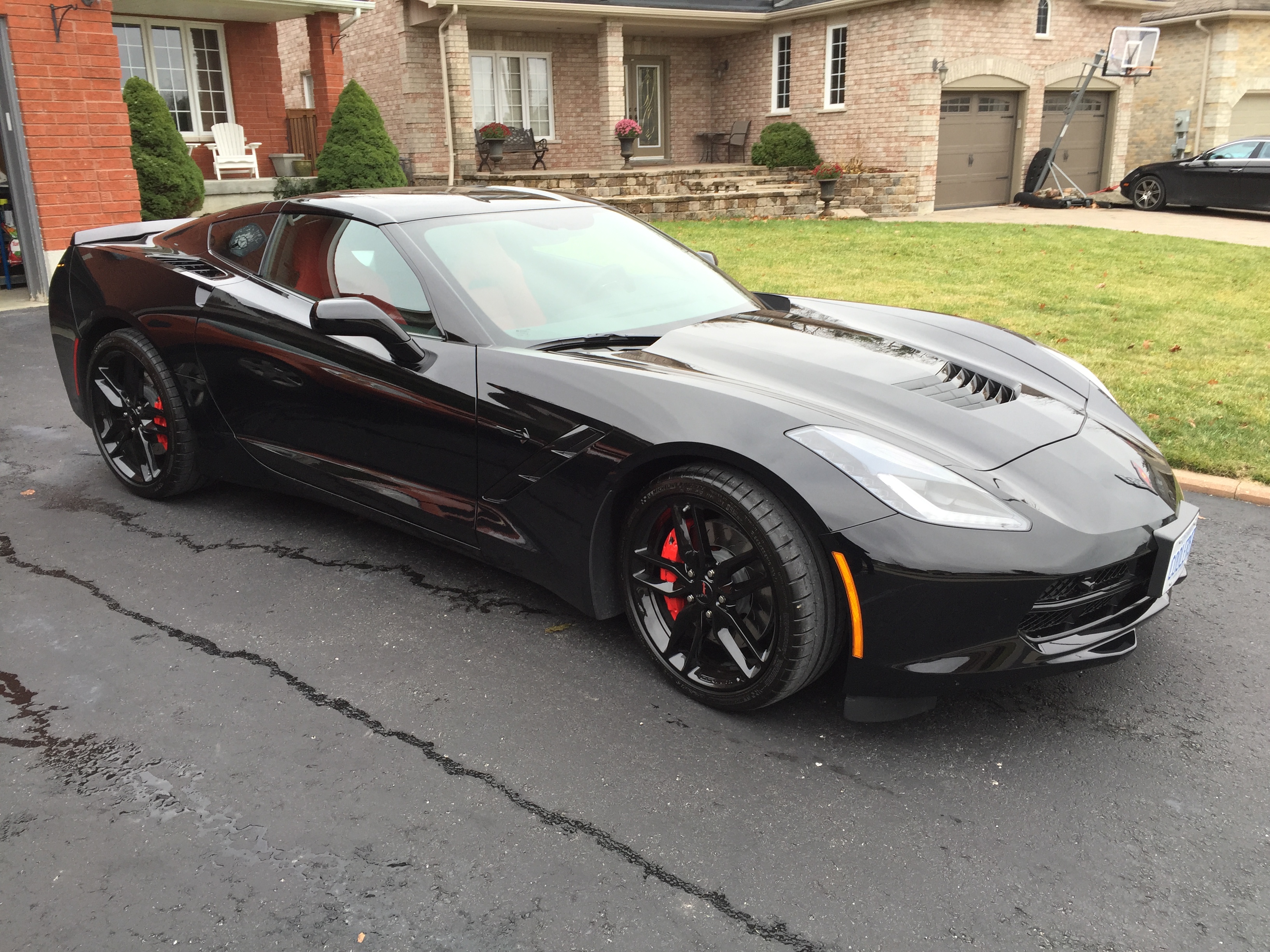 Black Beauty New Delivery