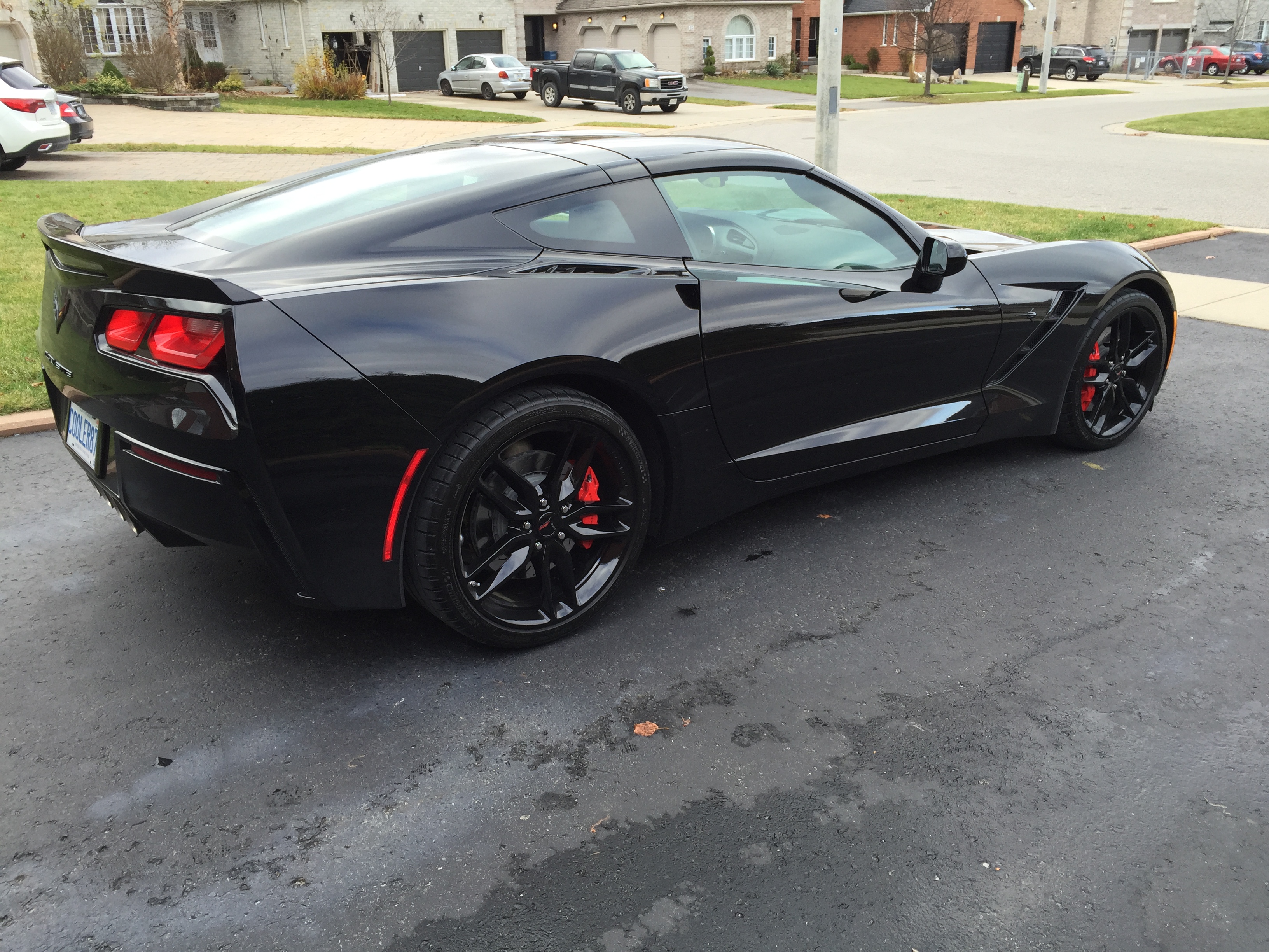 Black Beauty New Delivery