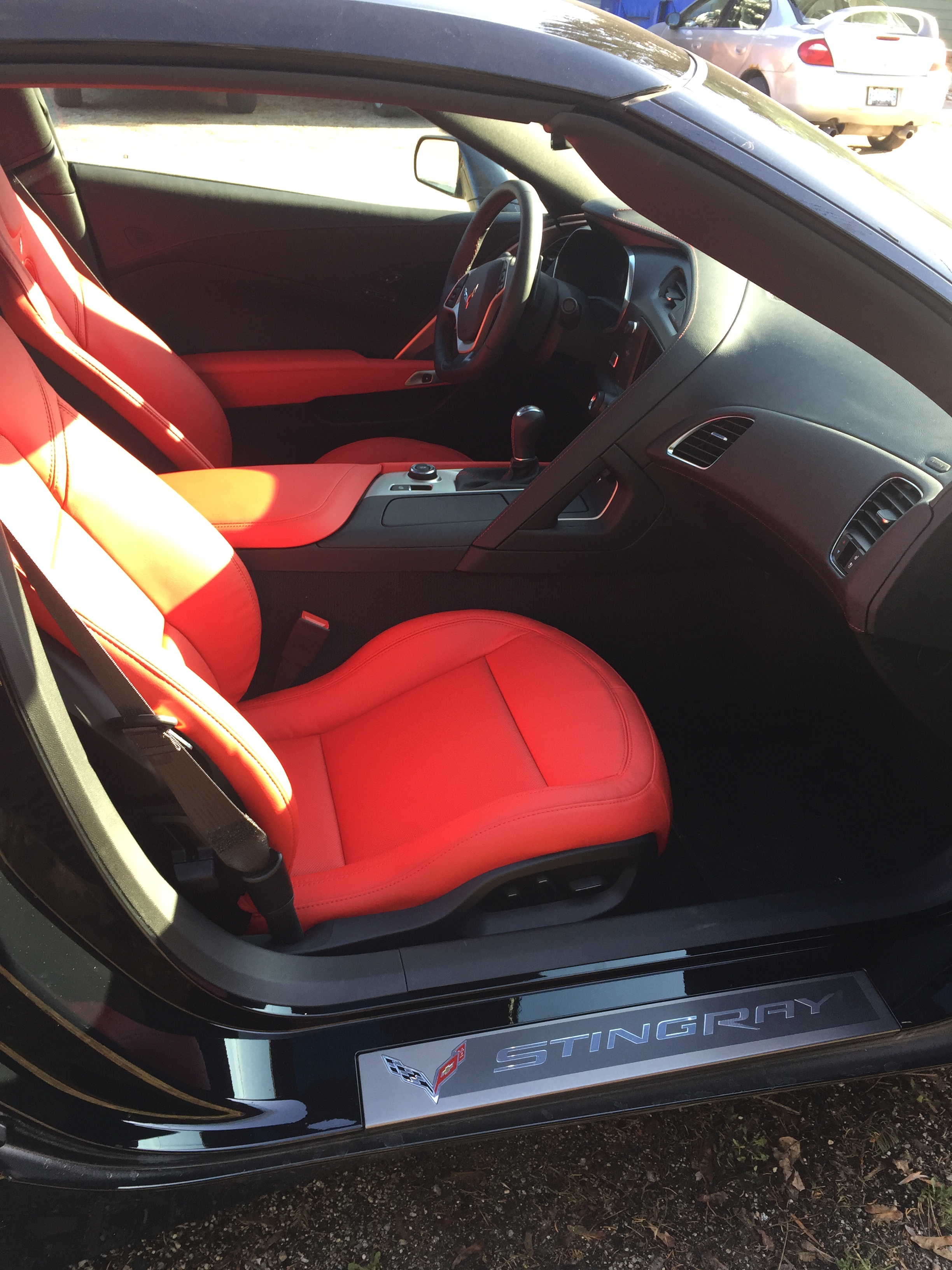 Black Beauty New Delivery