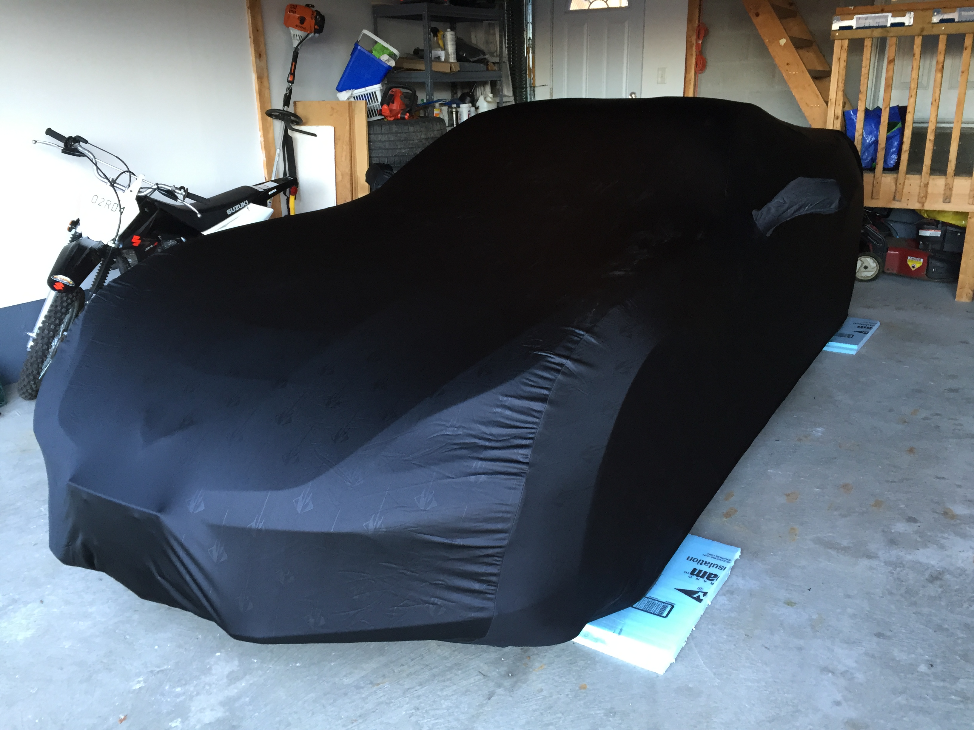 Black Beauty New Delivery