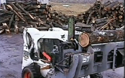 bobcat.gif
