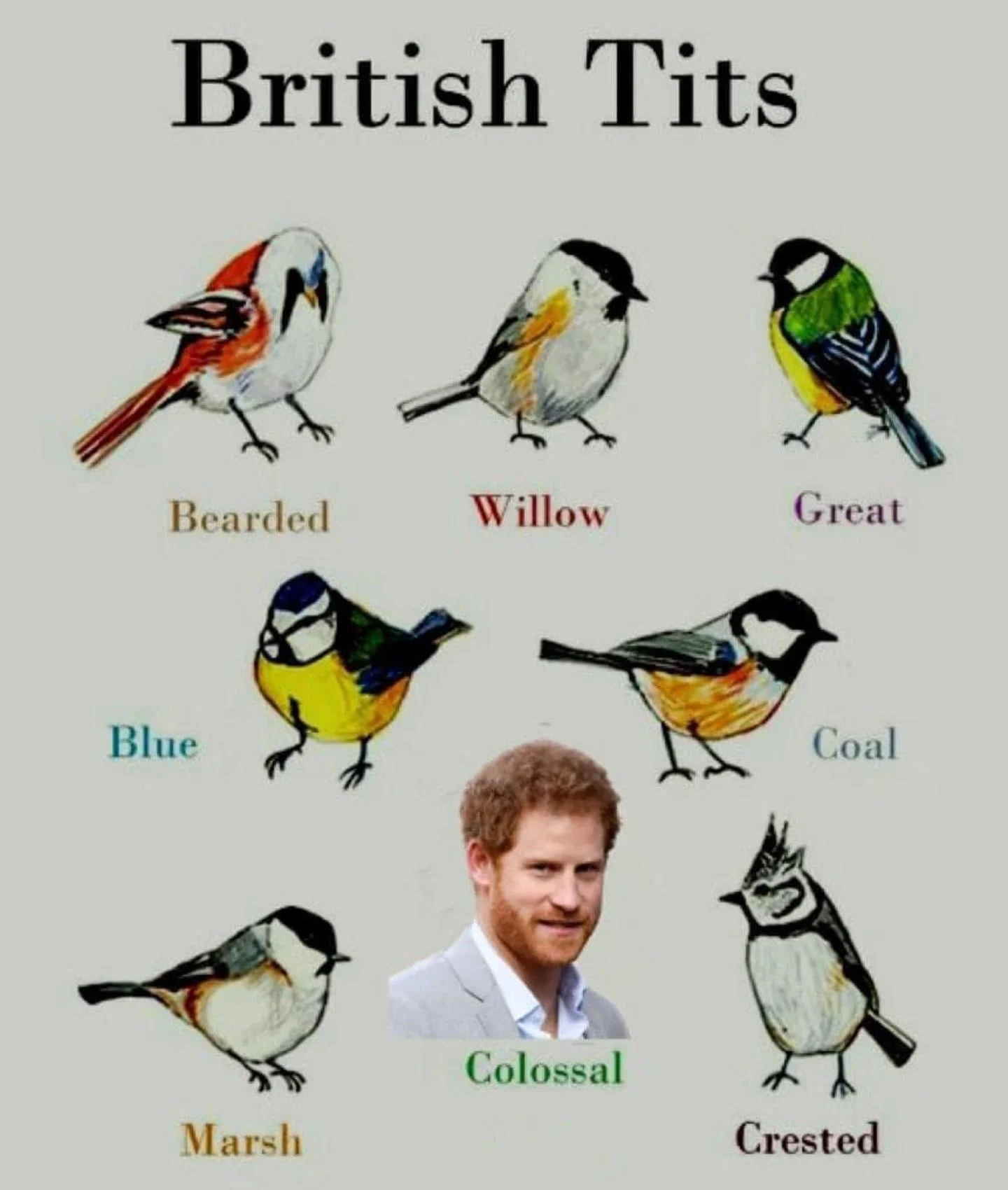 british-toots-v0-ktiv8yyw4xaa1.webp