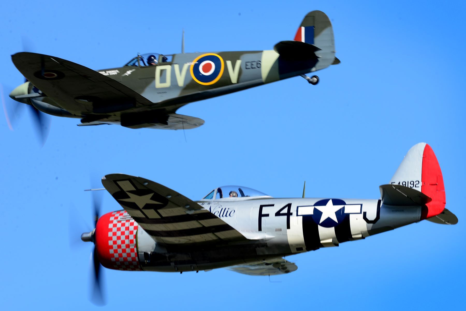 British Vintage War Birds 1800.jpg