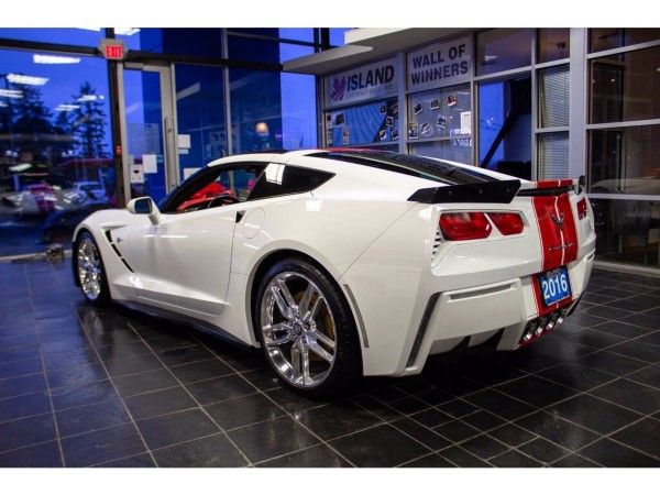 C7 back view.jpg