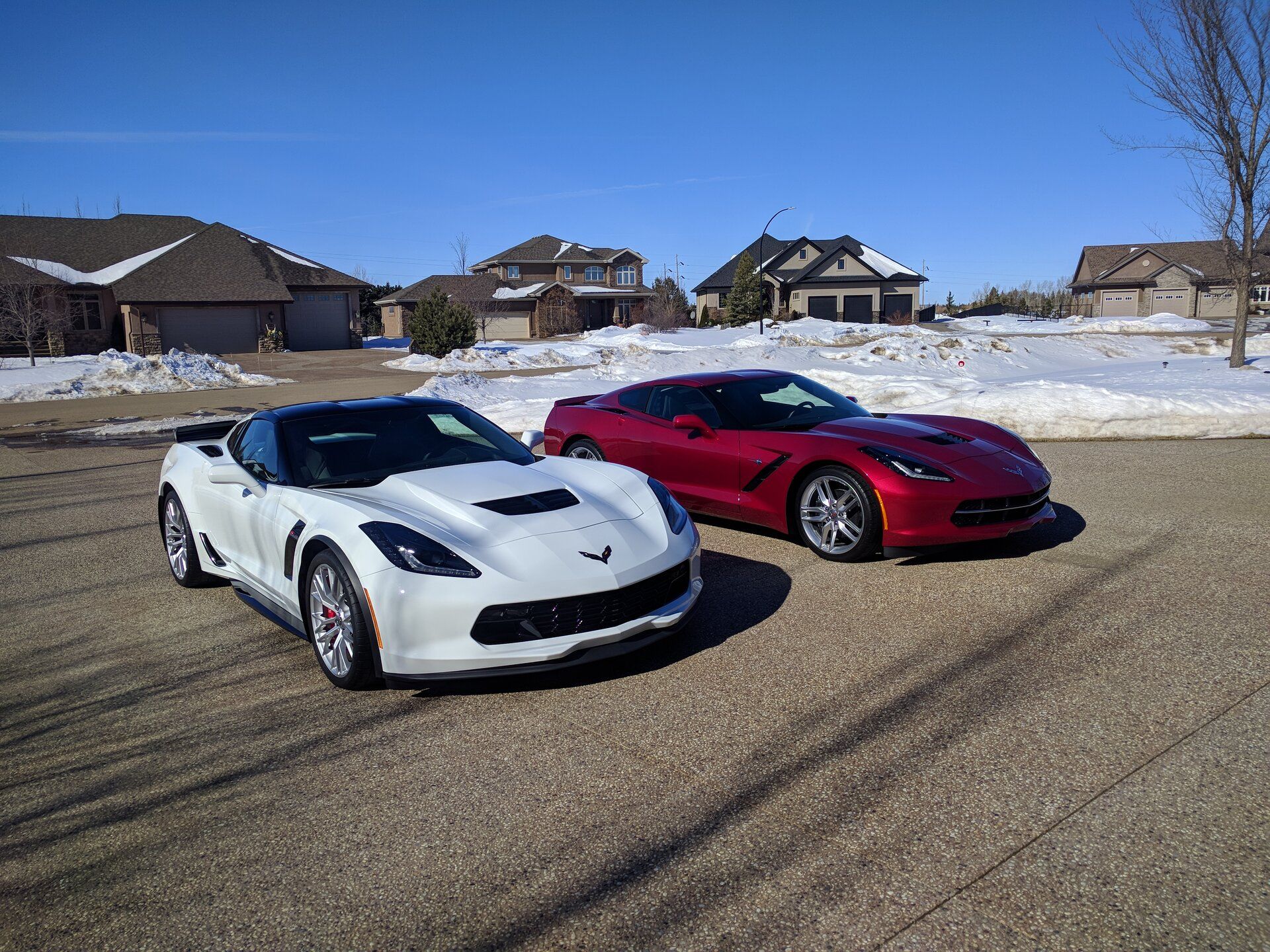 C7s Mar 16 2019.jpg