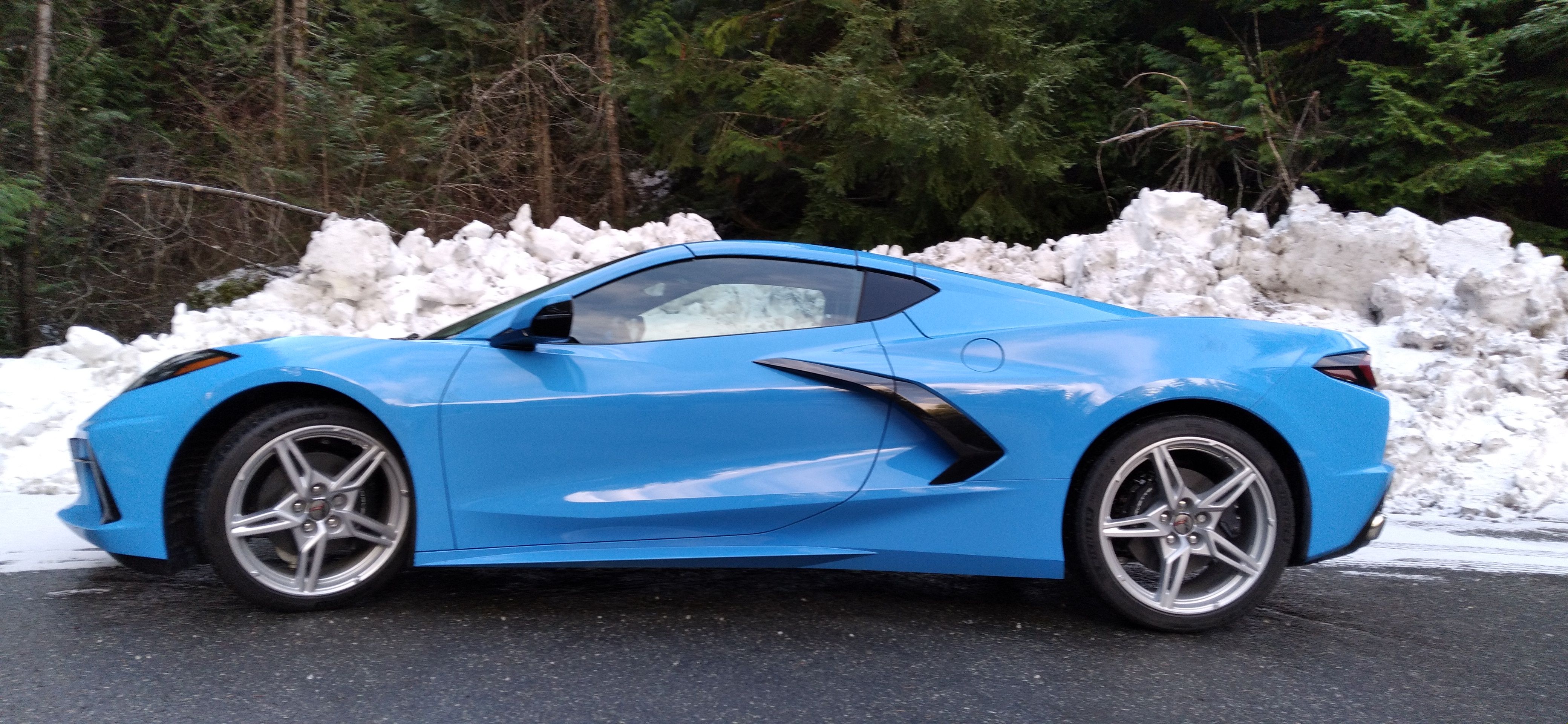 C8 Whistlersnow big.jpg