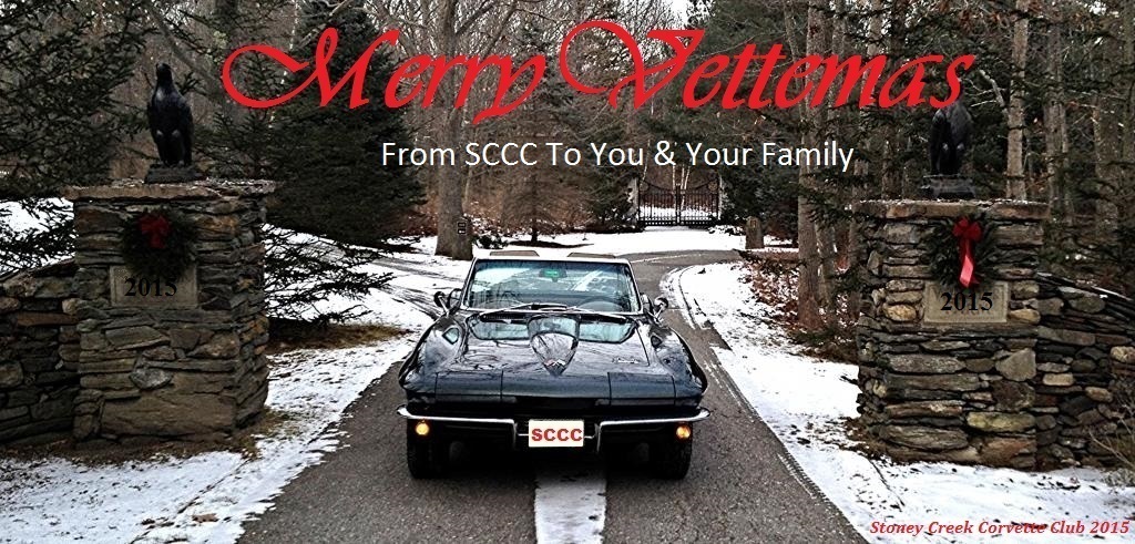 ChrismasPhotos2013Horses092_zpsff23e4e2