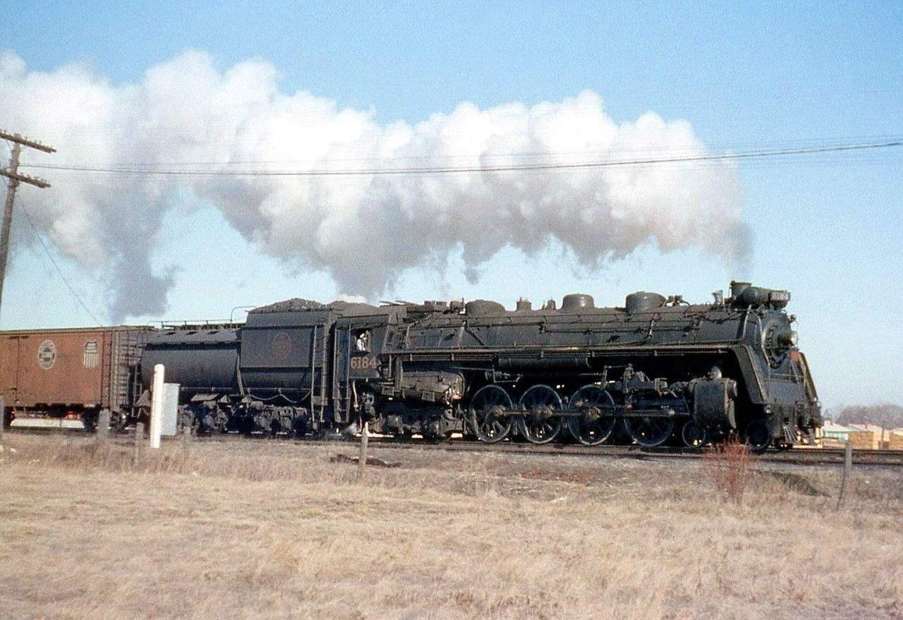 CN 6184.jpg