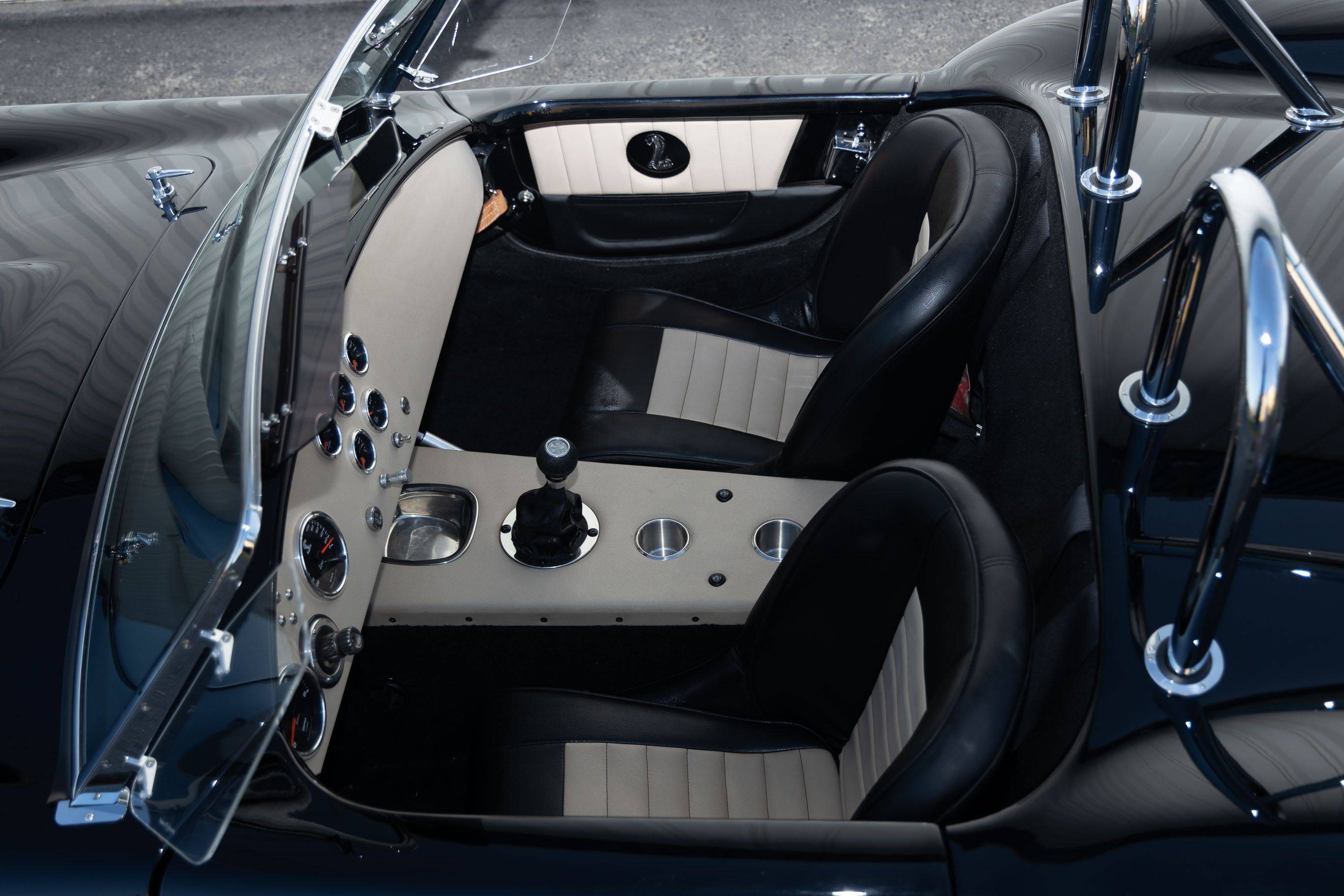 cobra interior.jpg