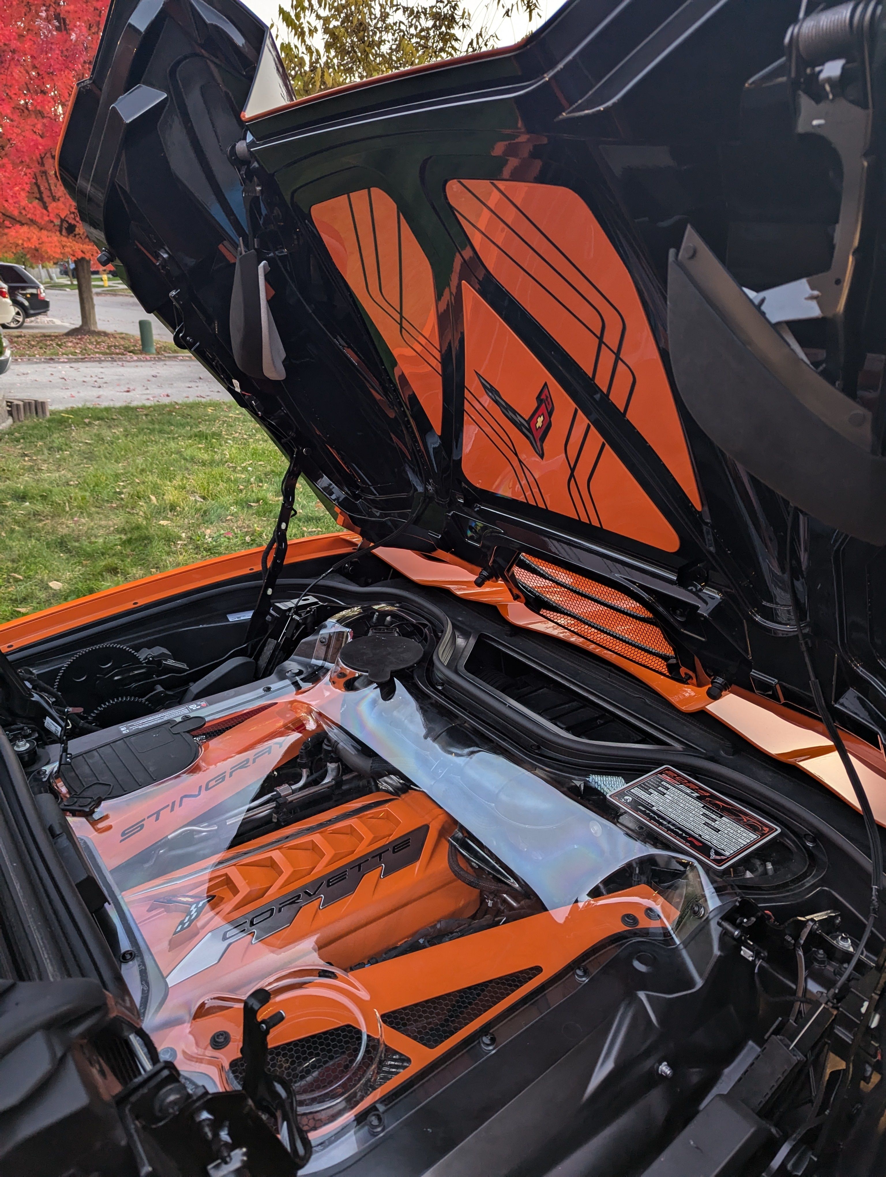 corvette cover 1.jpg