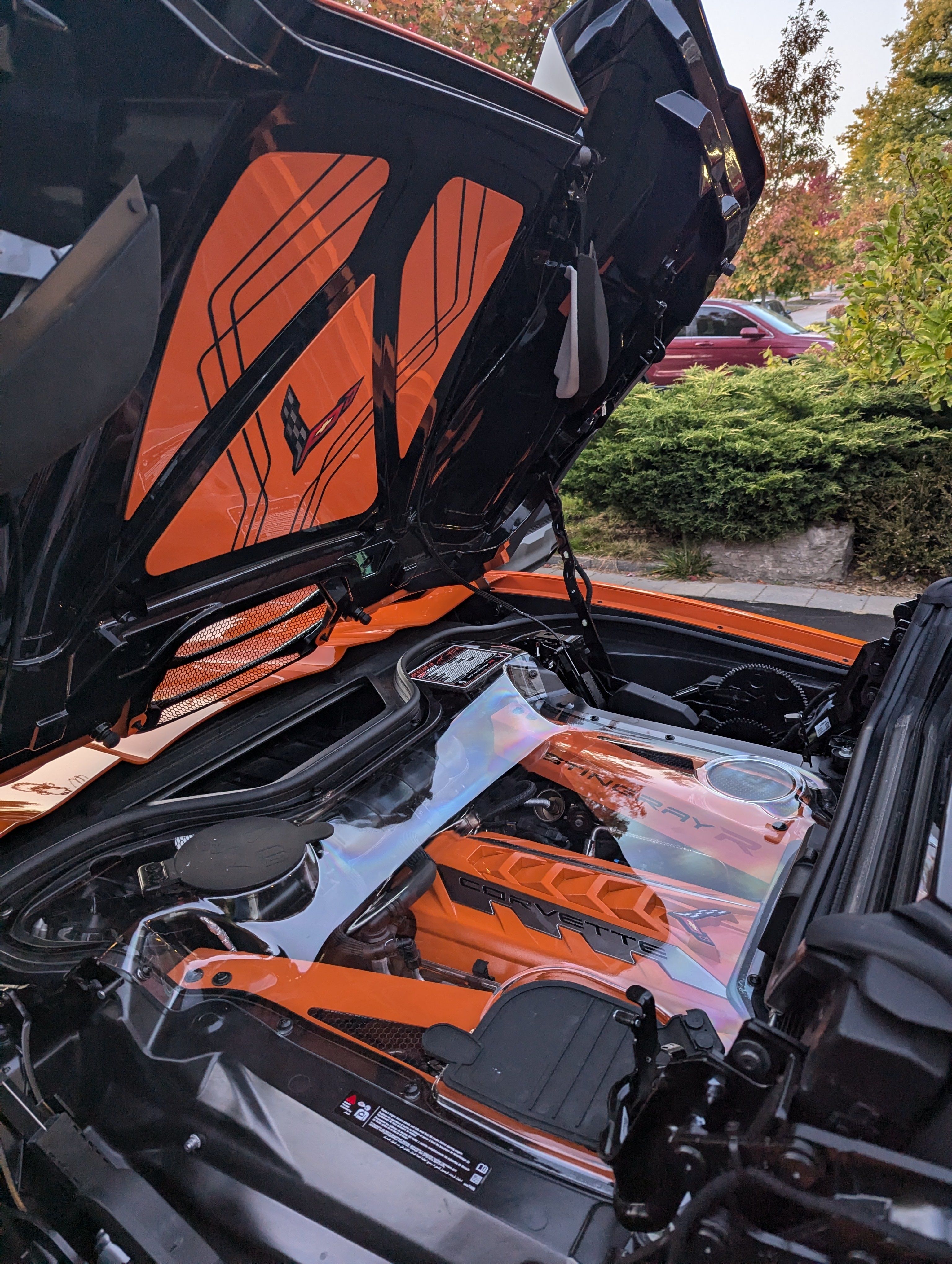 corvette cover 2.jpg