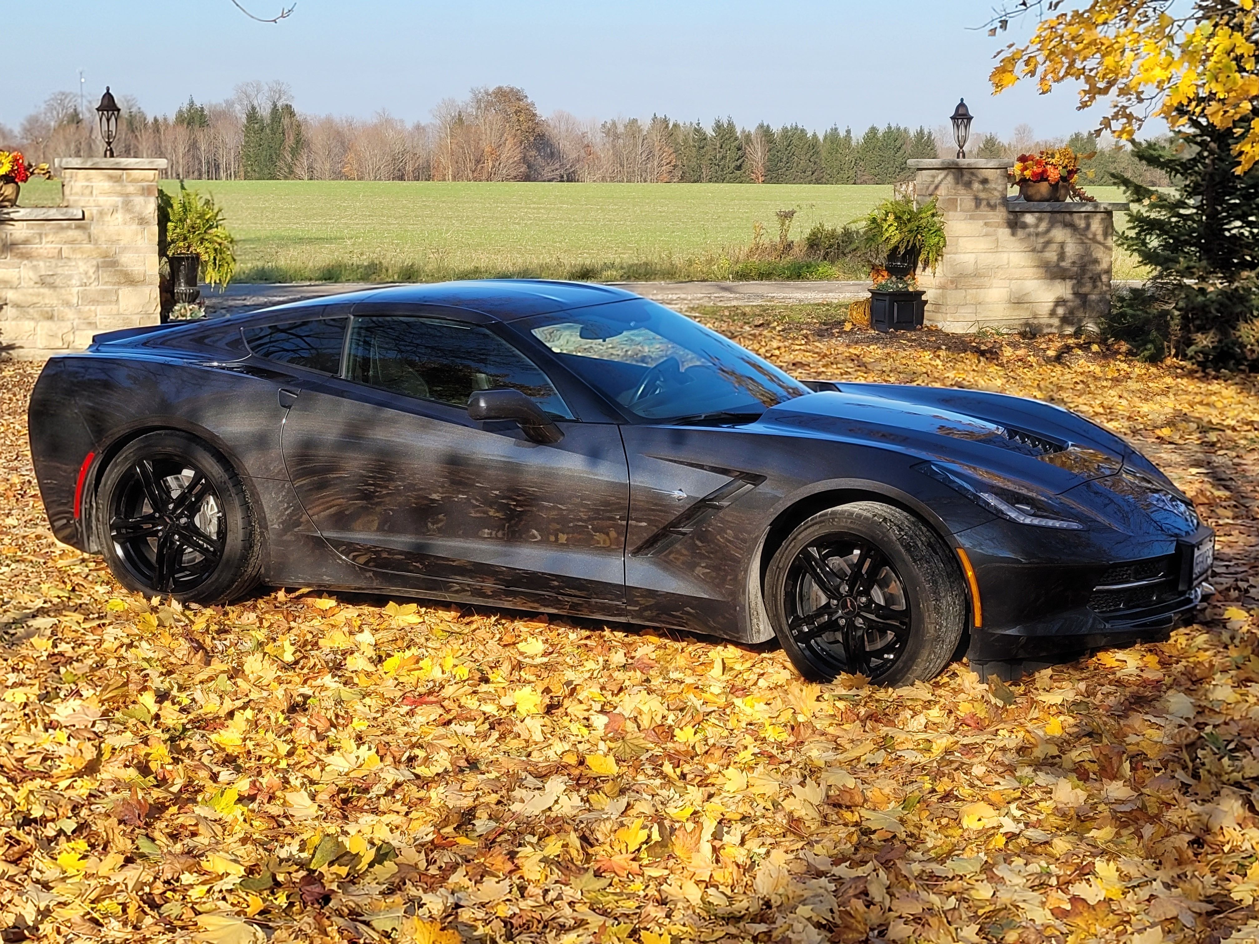 Corvette Fall photo 2023.jpg