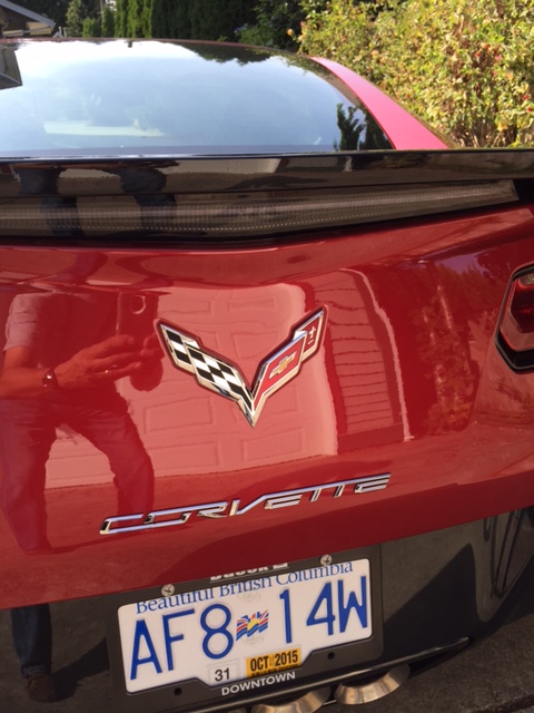 Corvette Shine 2.JPG