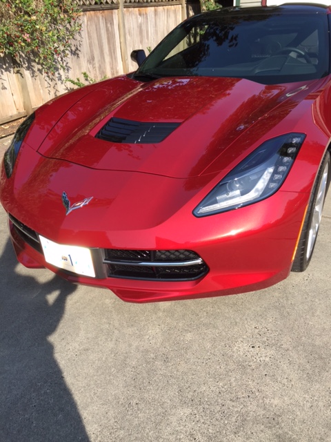 Corvette Shine 4.JPG