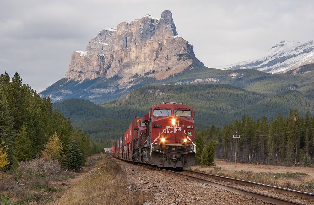 CP 8818.jpg
