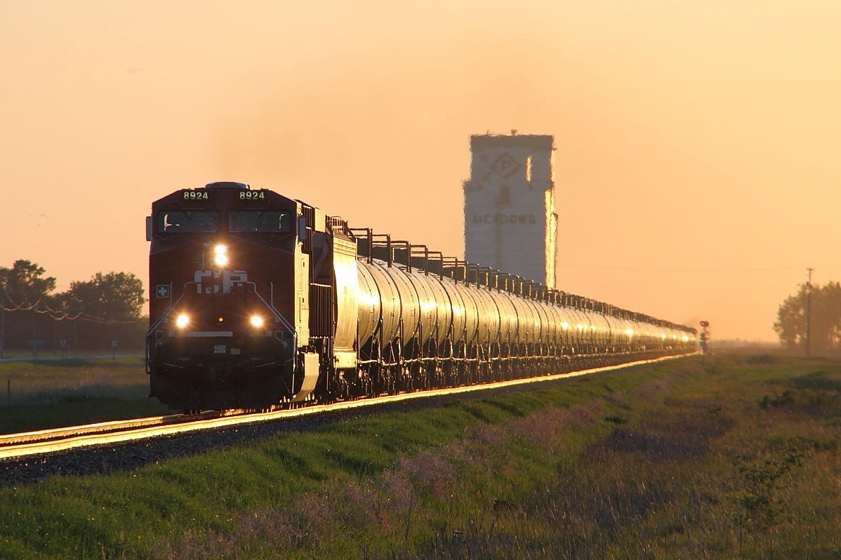 CP 8924.jpg