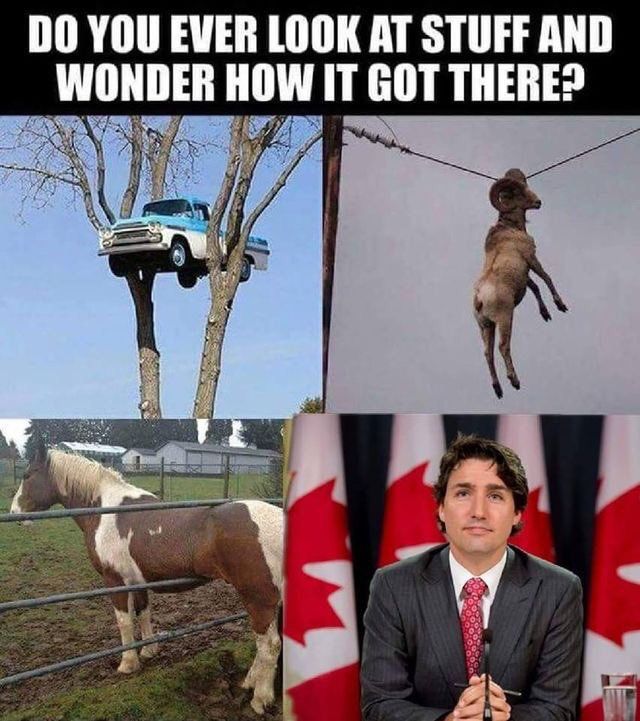 D0BDFF99-484F-499D-BFB8-4B25E252361C.jpeg
