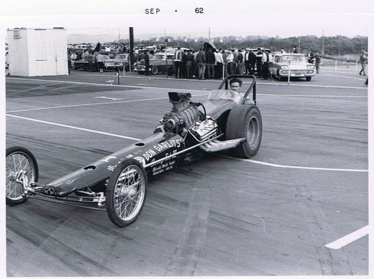 dino15 big daddy1.jpg