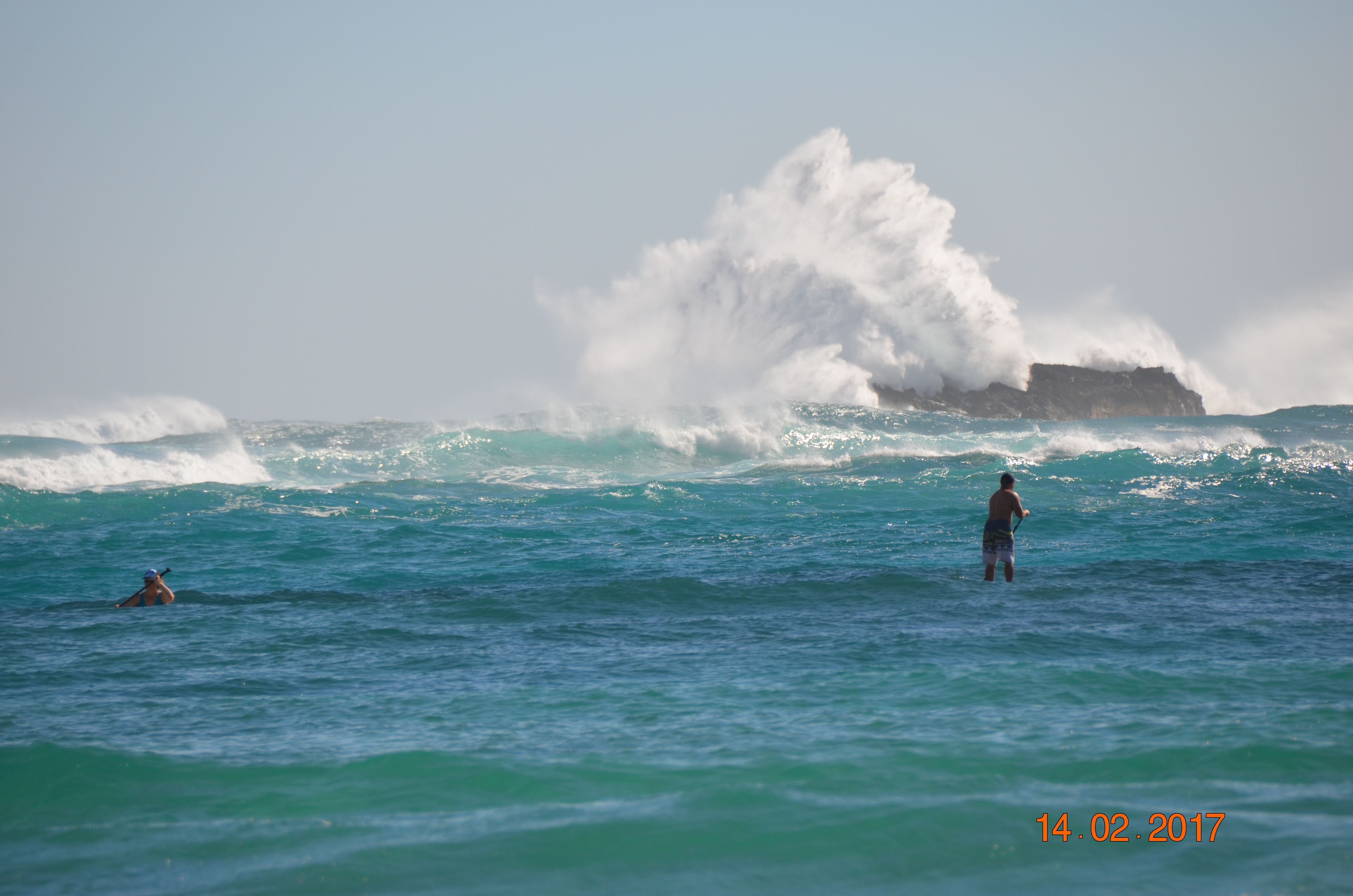 DSC_0250.JPG