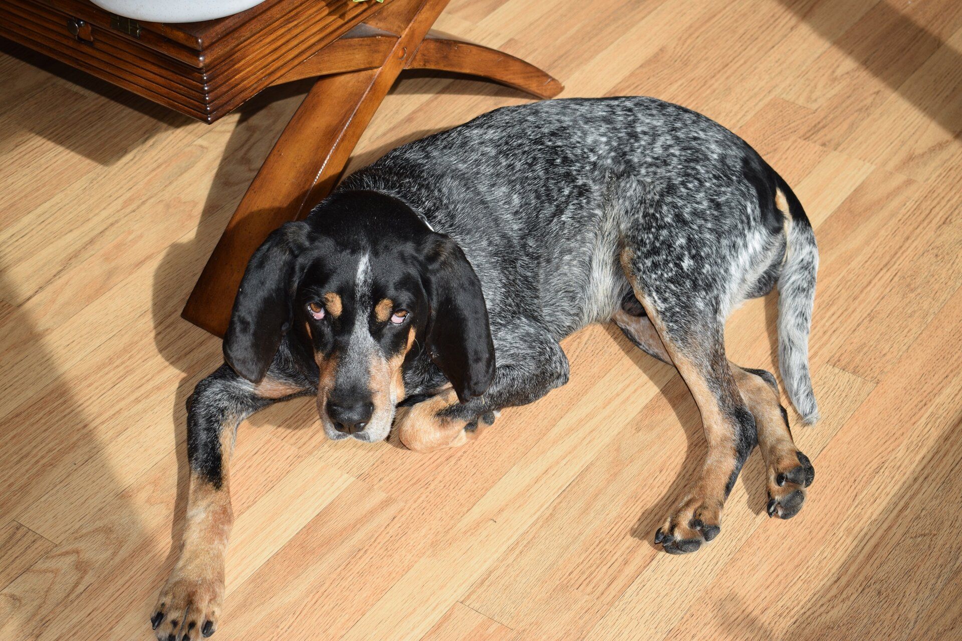DSC_0272.JPG