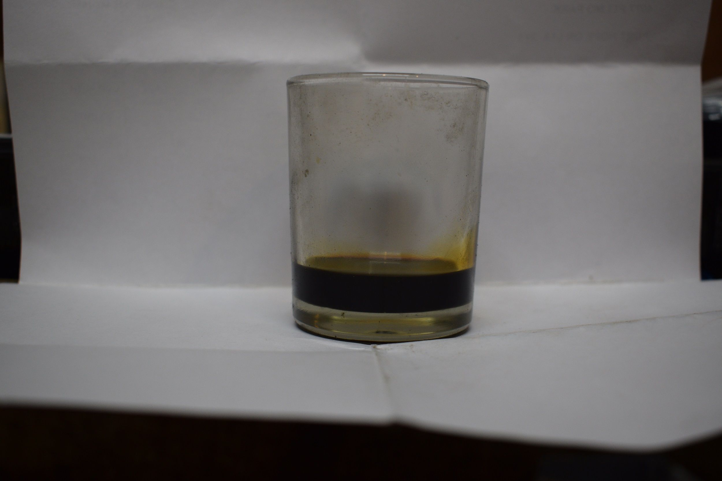DSC_0418.JPG