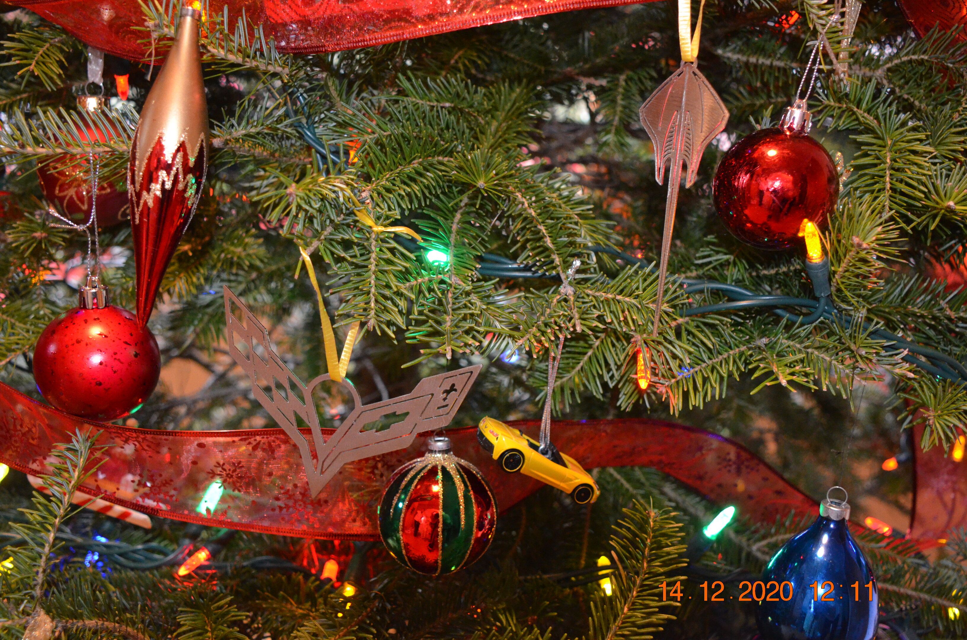 DSC_1323.JPG