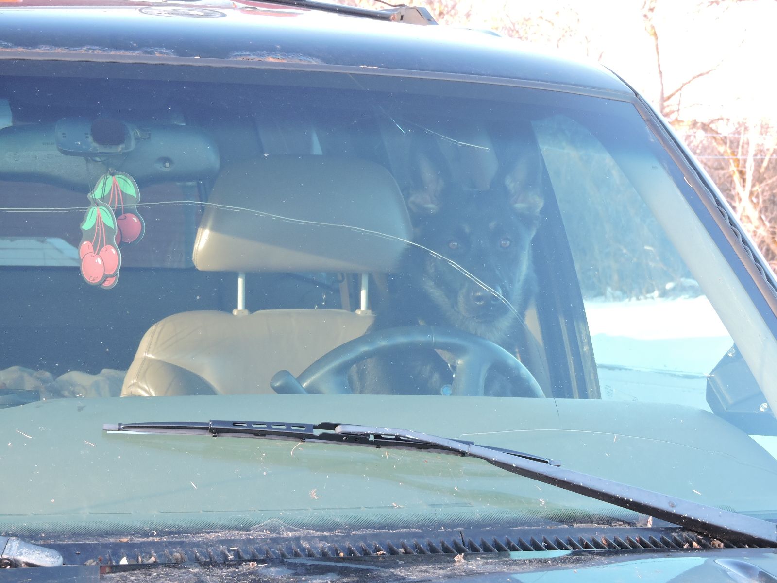 DSCN5277.JPG